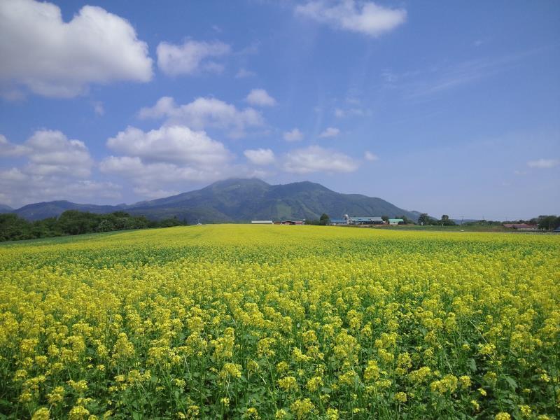 Albergue Karimpani Niseko Fujiyama Exterior foto